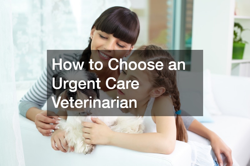 How to Choose an Urgent Care Veterinarian