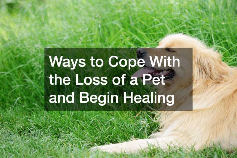 Ways to Cope With the Loss of a Pet and Begin Healing